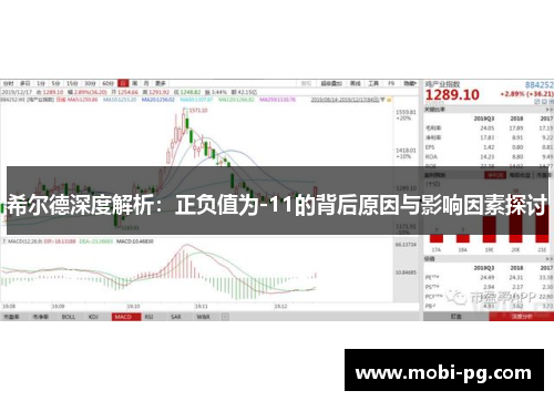 希尔德深度解析:正负值为-11的背后原因与影响因素探讨 希尔德深度解析:正负值为-11的背后原因与影响因素探讨