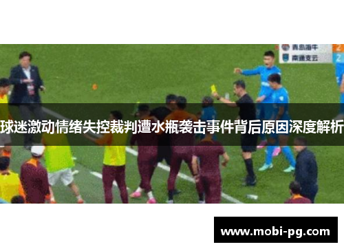 球迷激动情绪失控裁判遭水瓶袭击事件背后原因深度解析 球迷激动情绪失控裁判遭水瓶袭击事件背后原因深度解析