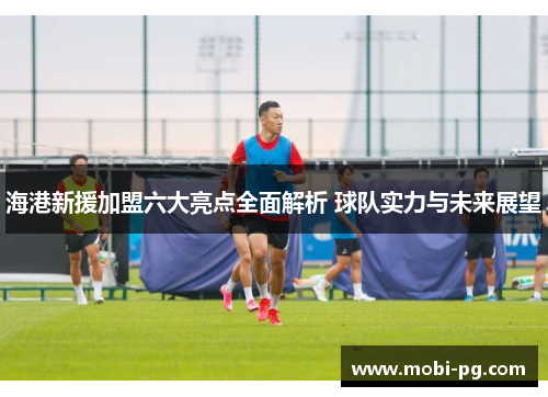 海港新援加盟六大亮点全面解析 球队实力与未来展望 海港新援加盟六大亮点全面解析 球队实力与未来展望