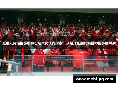 张琳芃背后的族群身份与文化认同探索：从足球场到民族精神的多维解读