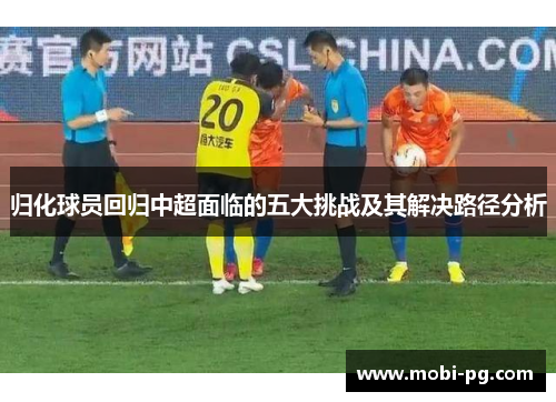 归化球员回归中超面临的五大挑战及其解决路径分析