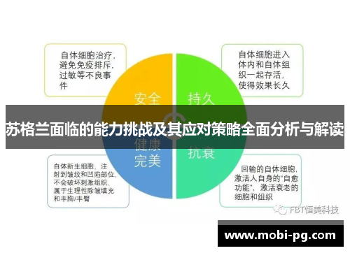 苏格兰面临的能力挑战及其应对策略全面分析与解读
