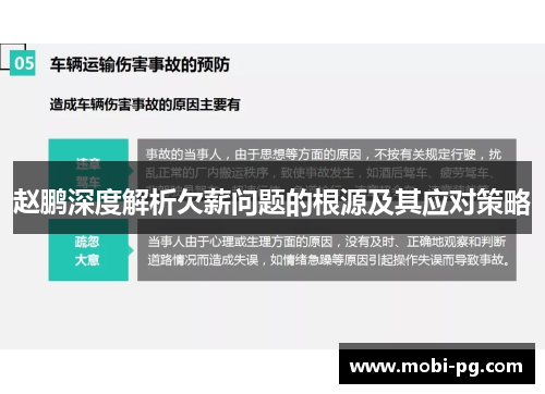 赵鹏深度解析欠薪问题的根源及其应对策略